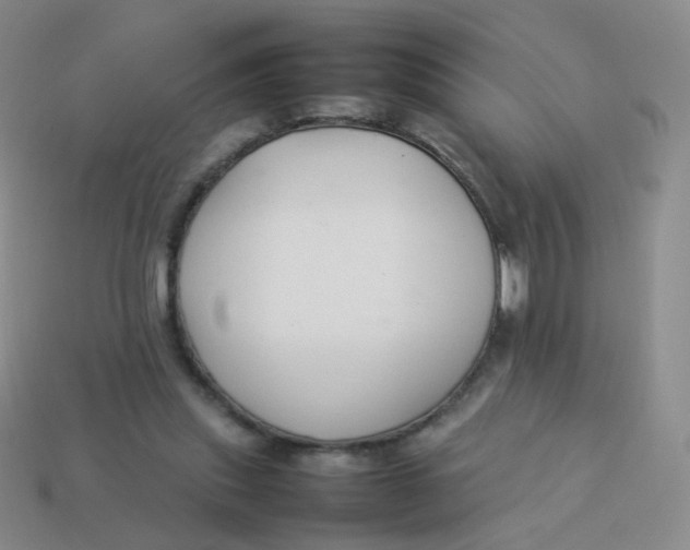 X0000113370253200910131326