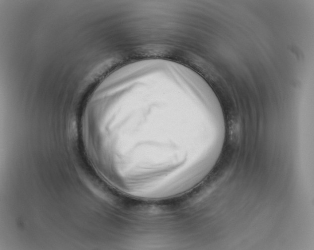 X0000113370254200910131326