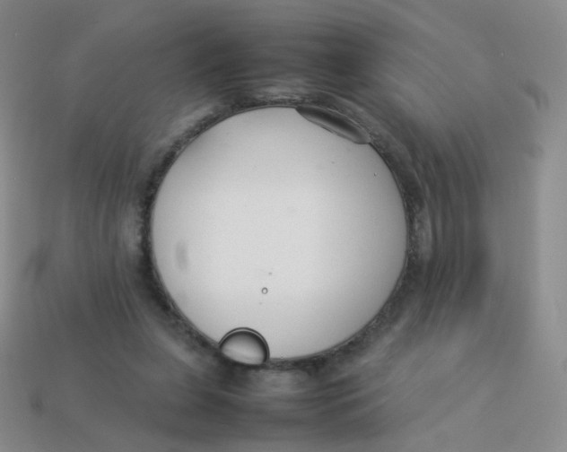 X0000113370255200910131326