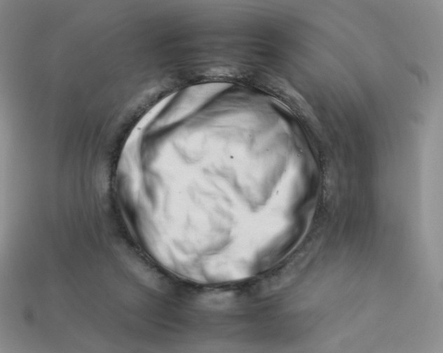X0000113370257200910131326