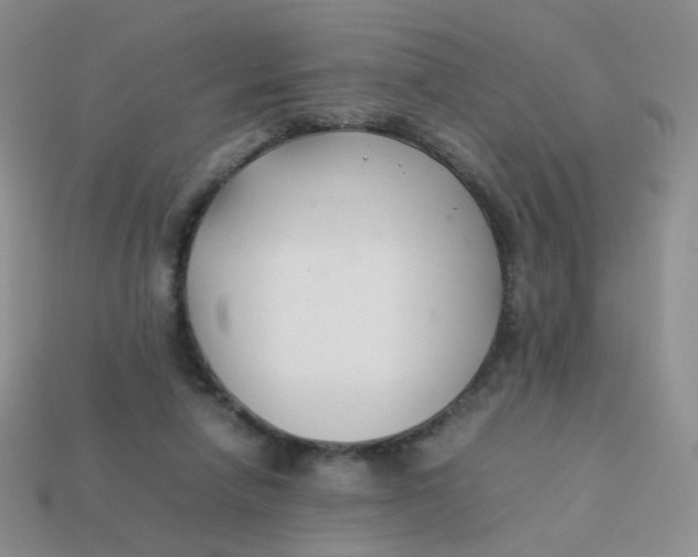 X0000113370258200910131326