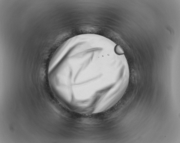 X0000113370259200910131327