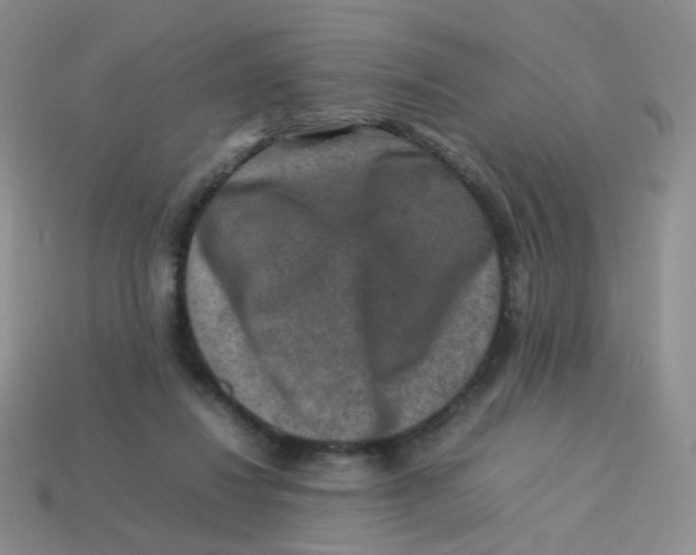 X0000113370260200910131327