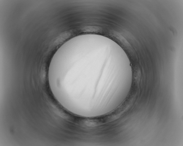 X0000113370261200910131327