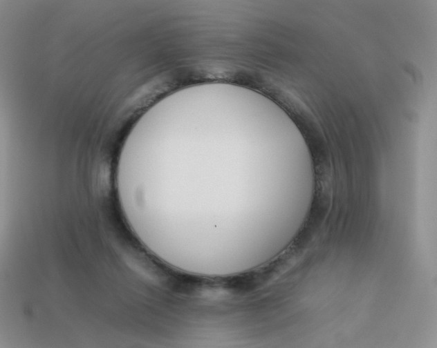 X0000113370262200910131327