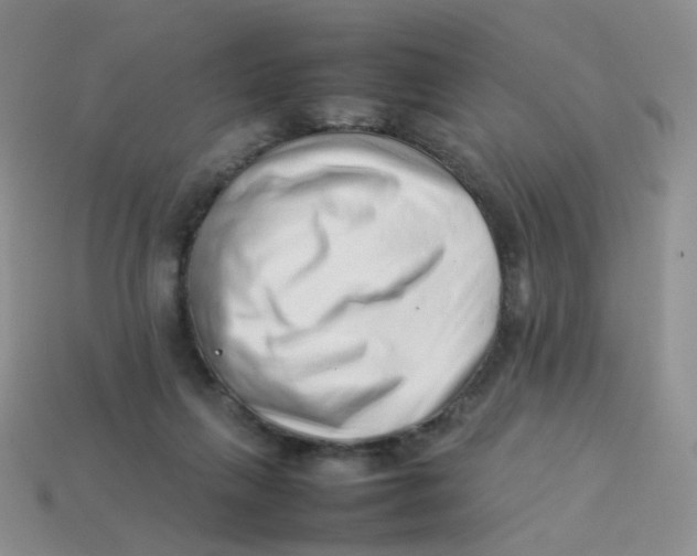 X0000113370263200910131327