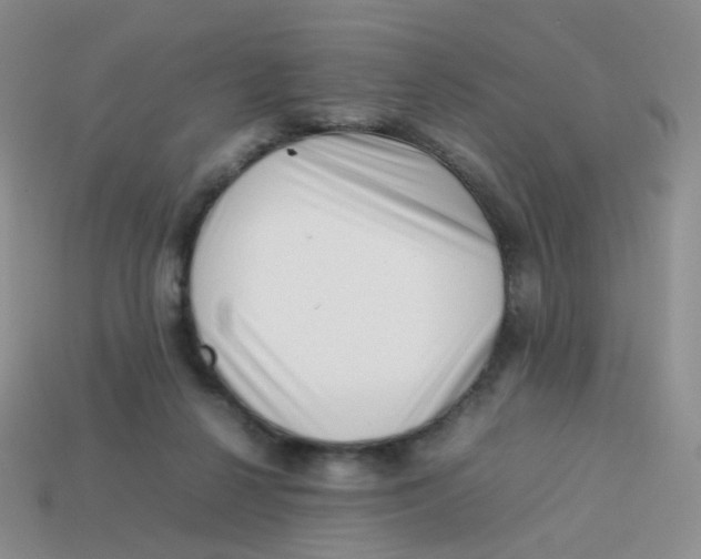 X0000113370264200910131327