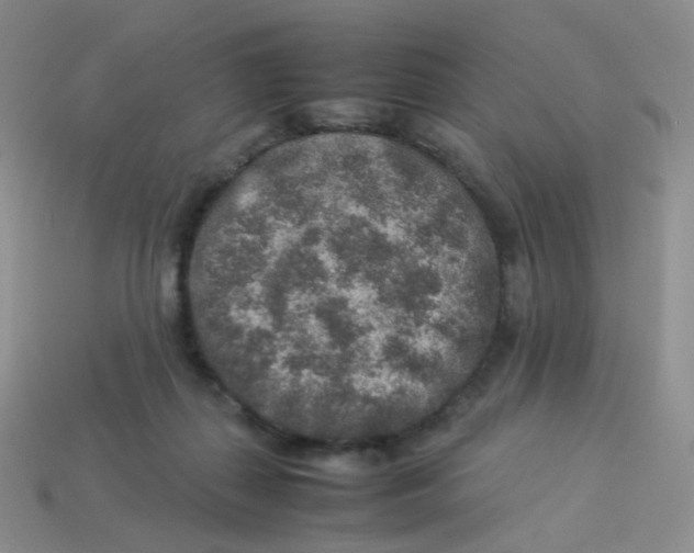 X0000113370267200910131327