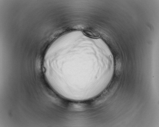 X0000113370268200910131327