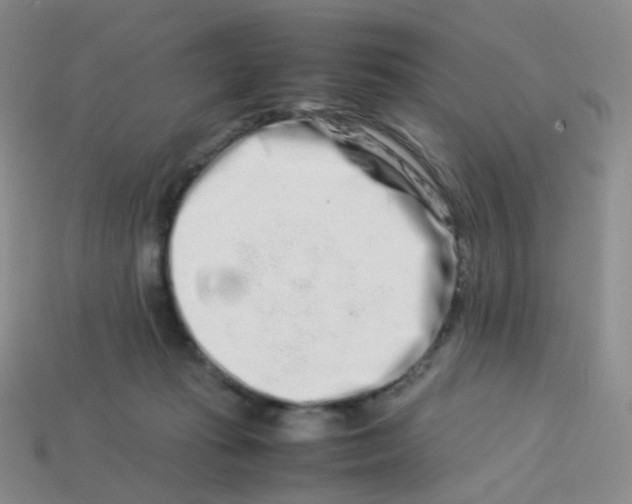 X0000113370269200910131327