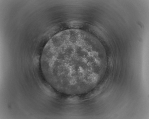 X0000113370271200910131327