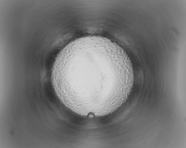 X0000113370272200910131327