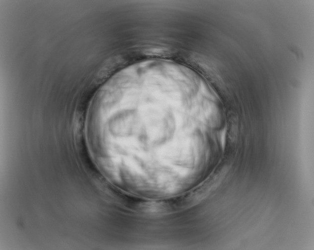 X0000113370273200910131327