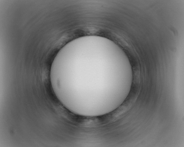 X0000113370274200910131327