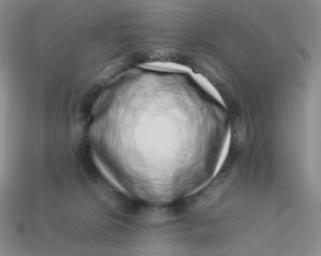 X0000113370276200910131327