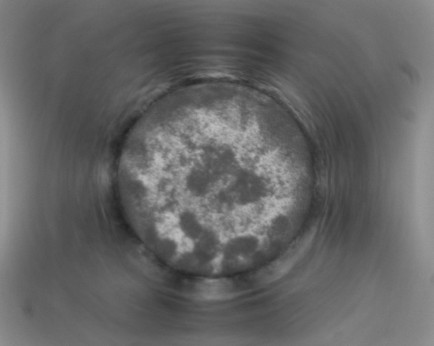 X0000113370277200910131327