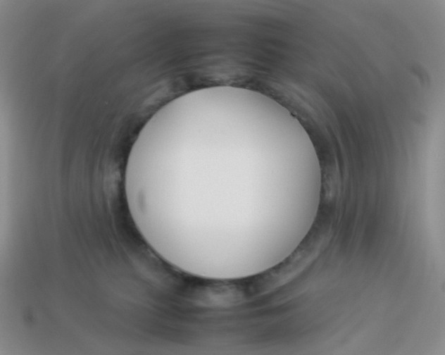 X0000113370279200910131327