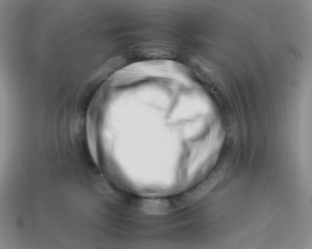 X0000113370281200910131327