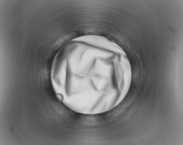 X0000113370282200910131327