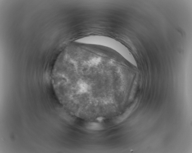 X0000113370285200910131327