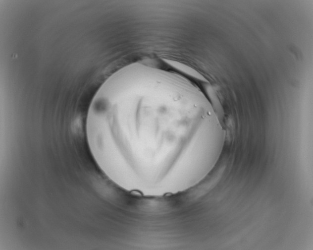 X0000113370286200910131327