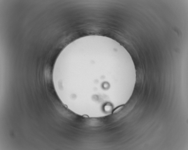 X0000113370287200910131327