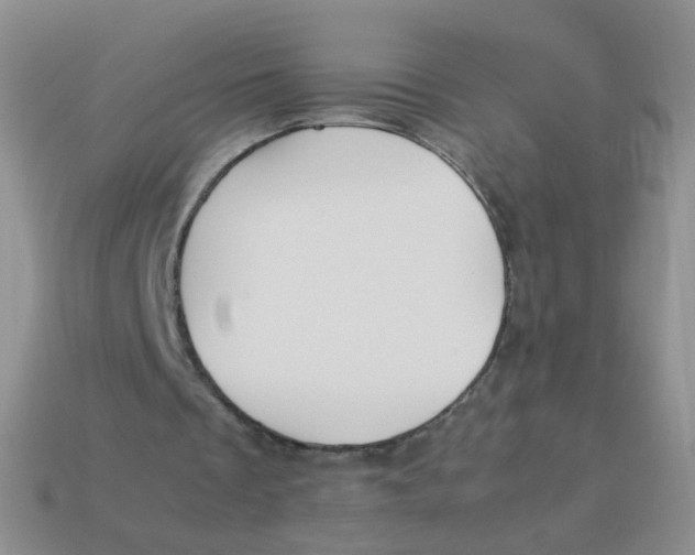 X0000113370289200910131326
