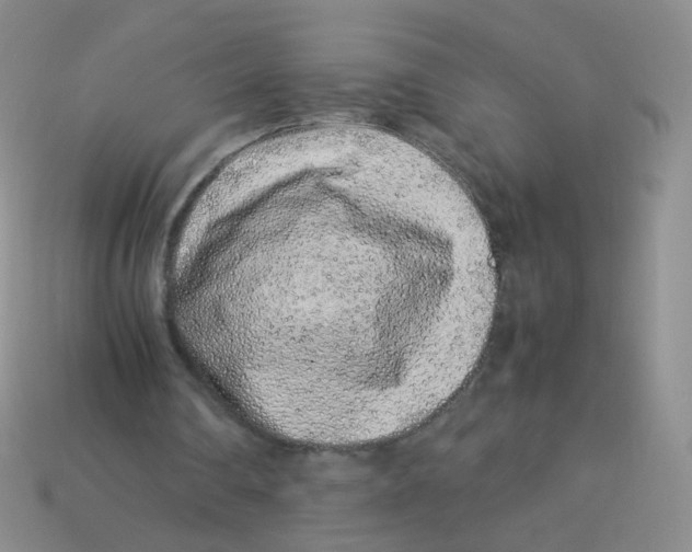 X0000113370290200910131326