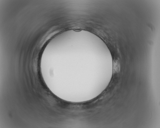 X0000113370291200910131326