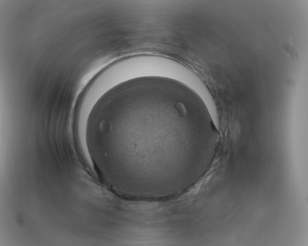 X0000113370292200910131326