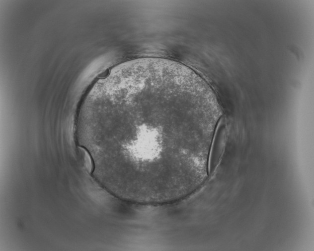 X0000113370293200910131326