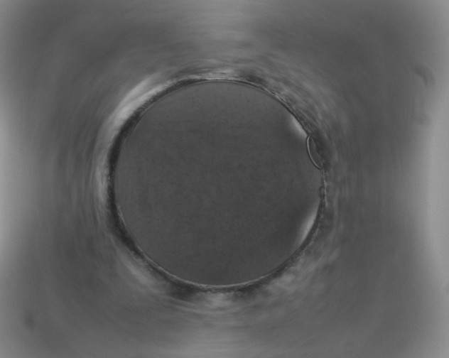 X0000113370295200910131326
