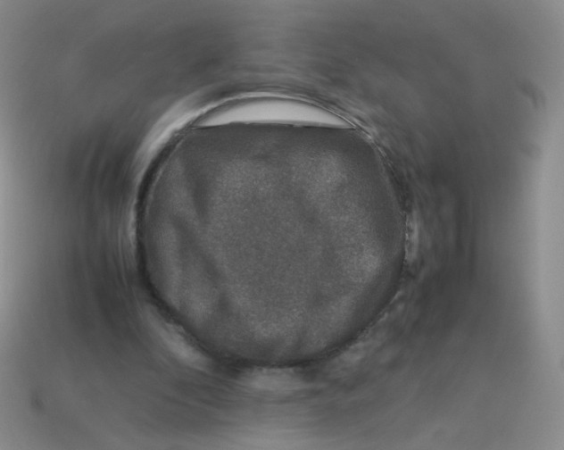 X0000113370296200910131326