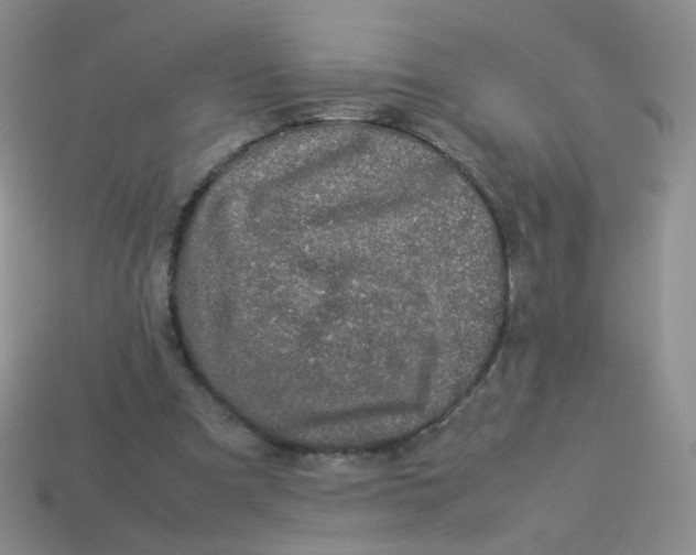 X0000113370297200910131326