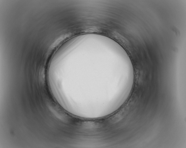 X0000113370298200910131326