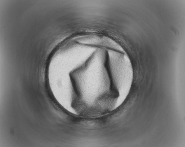 X0000113370299200910131326
