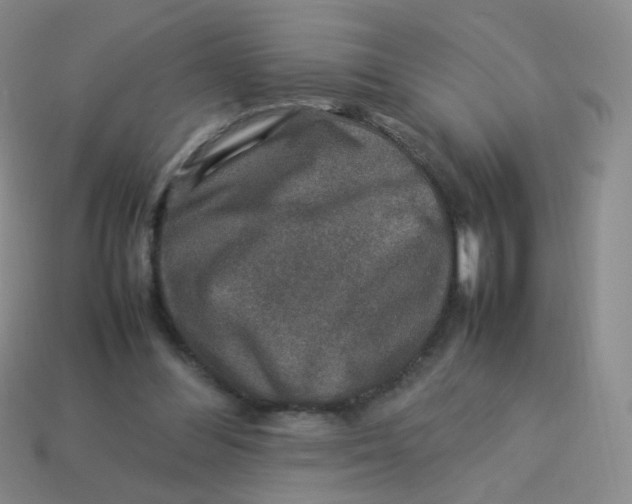 X0000113370300200910131326