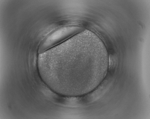 X0000113370301200910131326