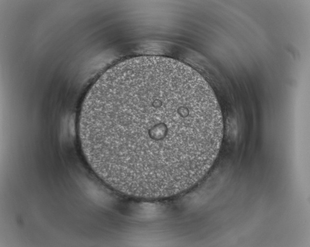 X0000113370302200910131326