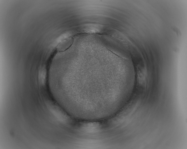 X0000113370304200910131326