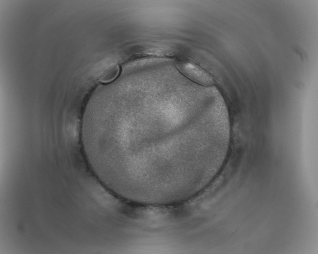X0000113370305200910131326