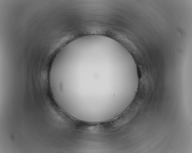 X0000113370306200910131326