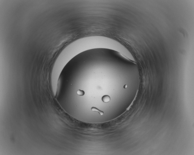X0000113370308200910131326
