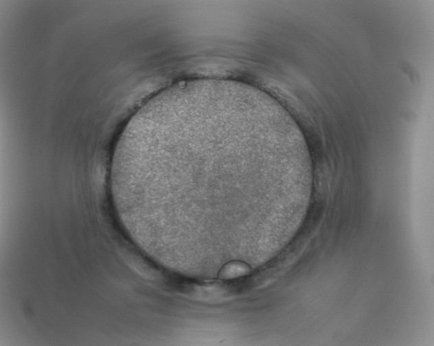 X0000113370309200910131326