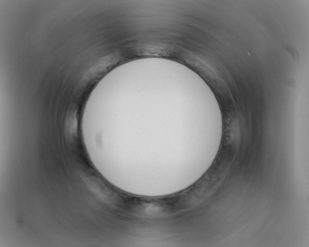 X0000113370310200910131326