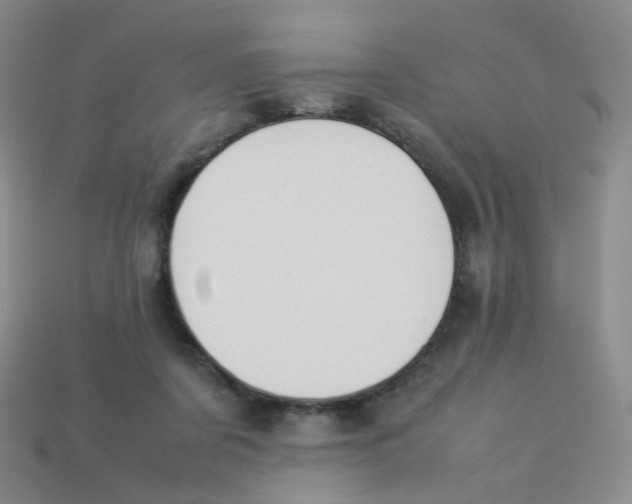 X0000113370311200910131326