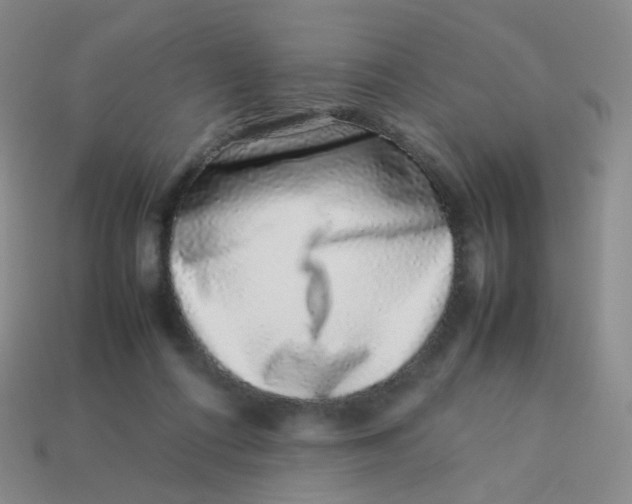 X0000113370312200910131326