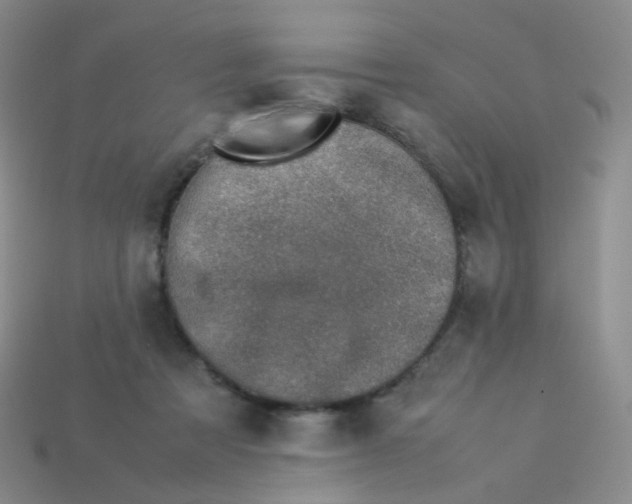 X0000113370313200910131326