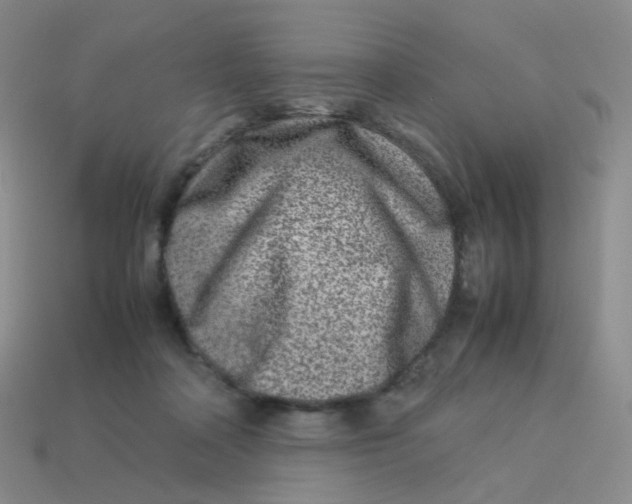 X0000113370314200910131326