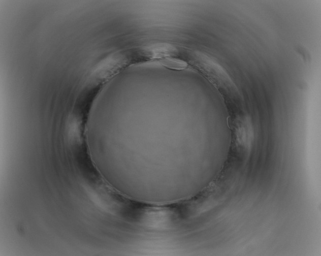 X0000113370316200910131326